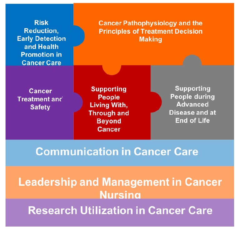 describing the approach to care of cancer