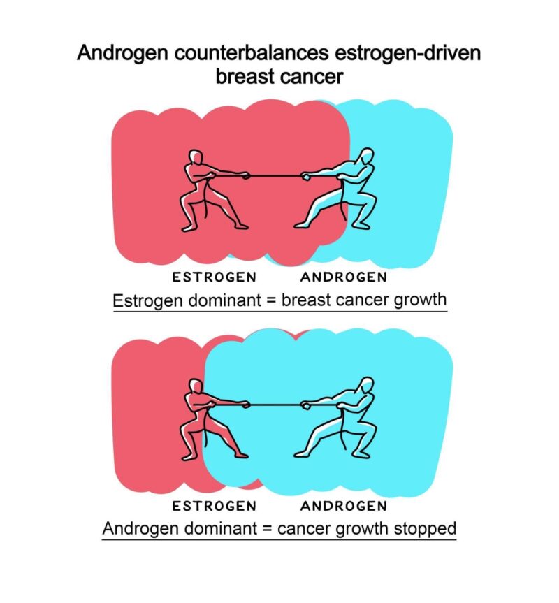 Therapy Targeting Androgen Receptors Opens New Chapter For Hormone ...